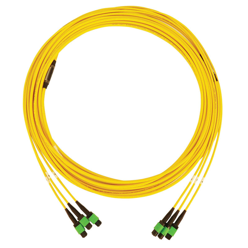 Eaton Tripp Lite Series 40/100G Singlemode 9/125 OS2 Fiber Optic Kabel (3x8F MTP/MPO-APC F/F), 30 m