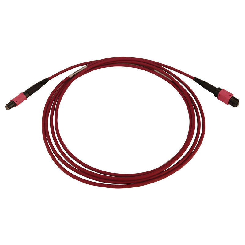 Eaton Tripp Lite Series 100G Multimode 50/125 OM4 Fiber Optic Kabel (12F MTP/MPO-PC F/F), LSZH, Magenta, 2 m (6.6 ft.)