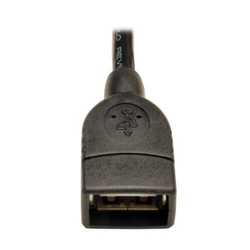 Eaton Tripp Lite Series USB 2.0 A Female zu USB Motherboard 4-PIN IDC Header Kabel, 6-in. (15.24 cm)