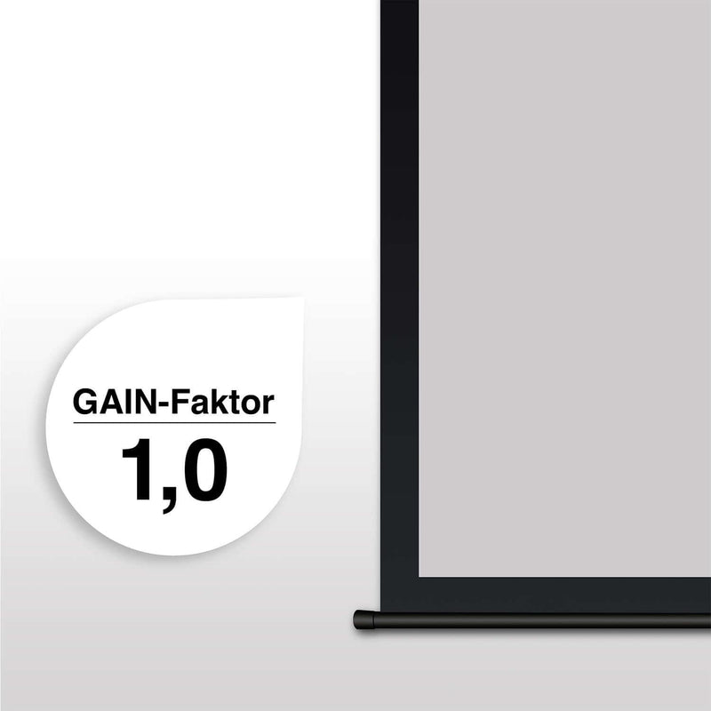 eSmart Germany Tageslicht-Motor Leinwand MIMOTO GRAU 266 x 149 cm (120') 16:9