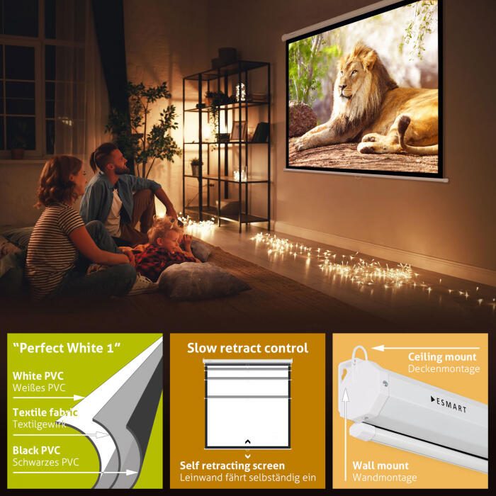 eSmart Economy EXR Rollo Leinwand 240 240 (134') 1:1