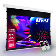 eSmart Expert XTS Tension Leinwand Grau 266 x 149 cm (120') 16:9
