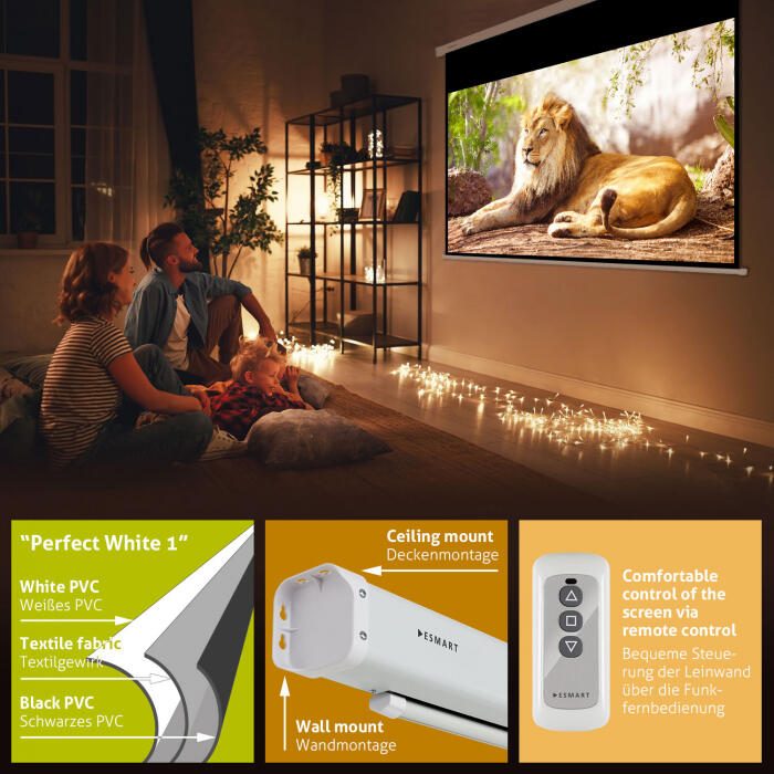 eSmart Economy EXM Motor Leinwand 140 x 79 cm (63') 16:9