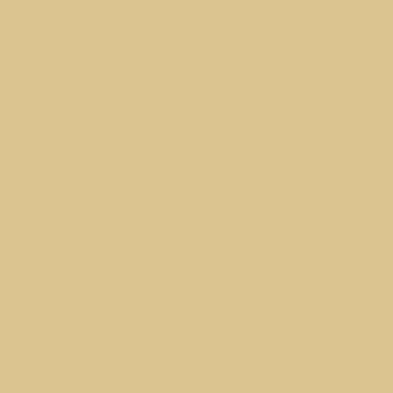 plottiX Permanent Vinylfolie Beige (31,5 cm x 1 m)